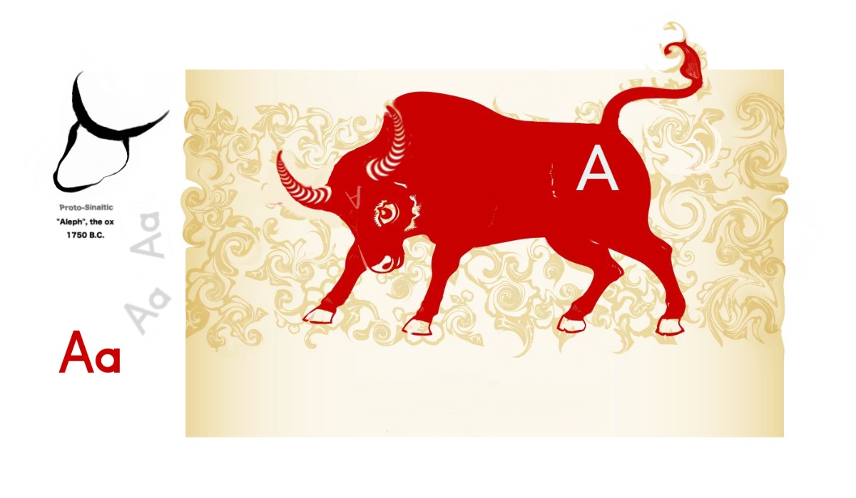 Evolution of the letter A from the head of an ox to the current form. CCH 2021-12-5