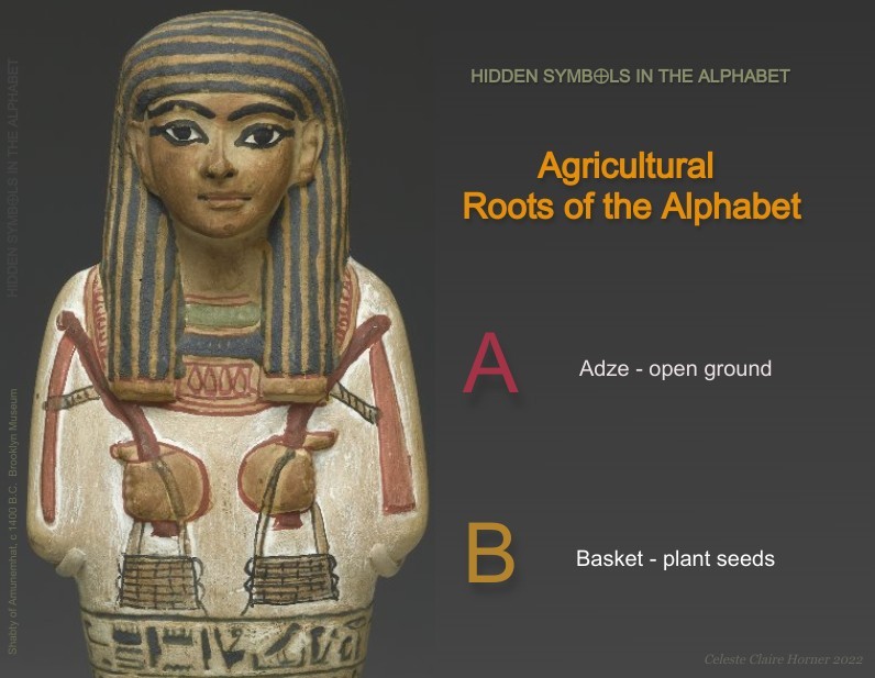 Egyptian shabti doll with adze and seed bag. This illustrates a theory of Celeste Horner that agriculture influenced the shape of the alphabet. In this channel of interpretation, A is an ox head, adze or plow. B is a seed basket. C is a sickle. D is the final product, a bread loaf.