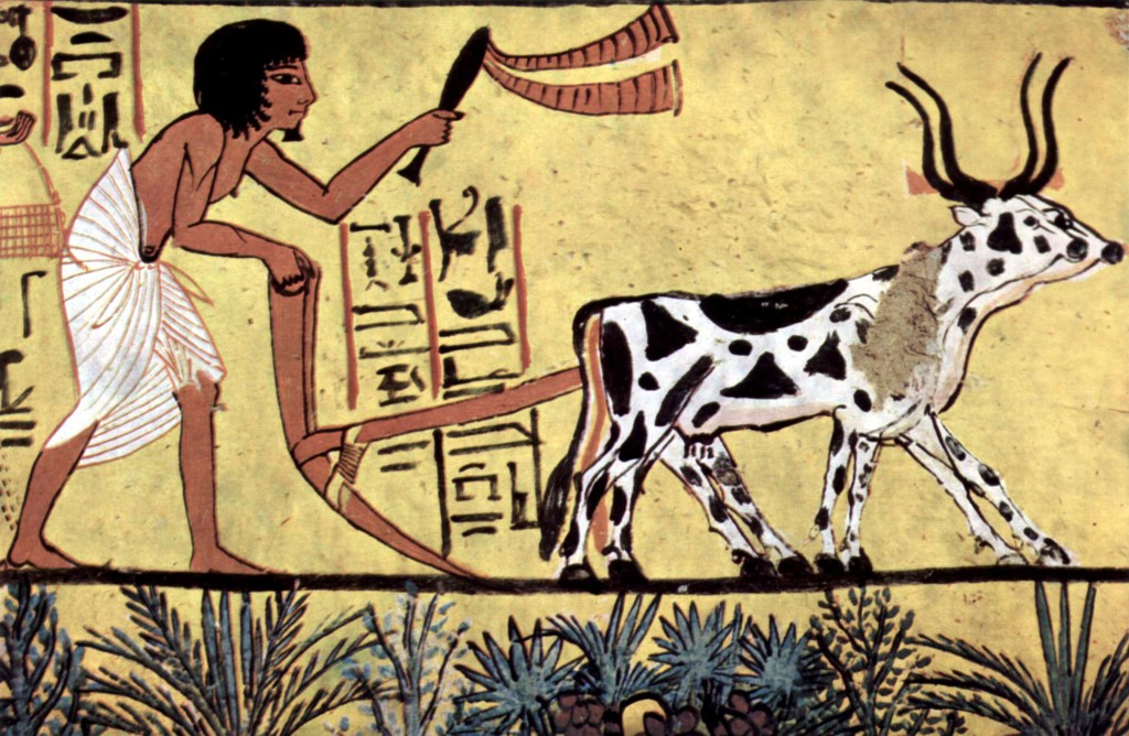 Egyptian plowing field with ox may indicate origin of the letter A.
