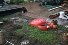 IMG_0725.JPG