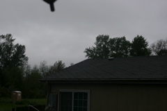 IMG_0721.JPG