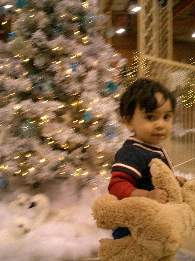 austin_blueteddy