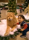 CIMG3667.JPG