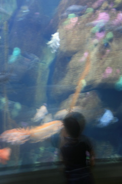 IMG_1314.JPG