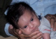100_1148.JPG copy