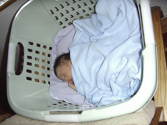 MLNA0049.JPG