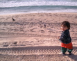 CIMG3797 copy