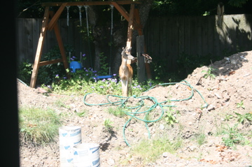 IMG_0797.JPG