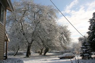 IMG_0098.JPG